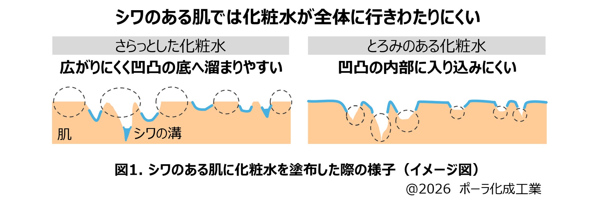 紫外線・表情圧が睡眠時のコラーゲン産生にブレーキをかける可能性