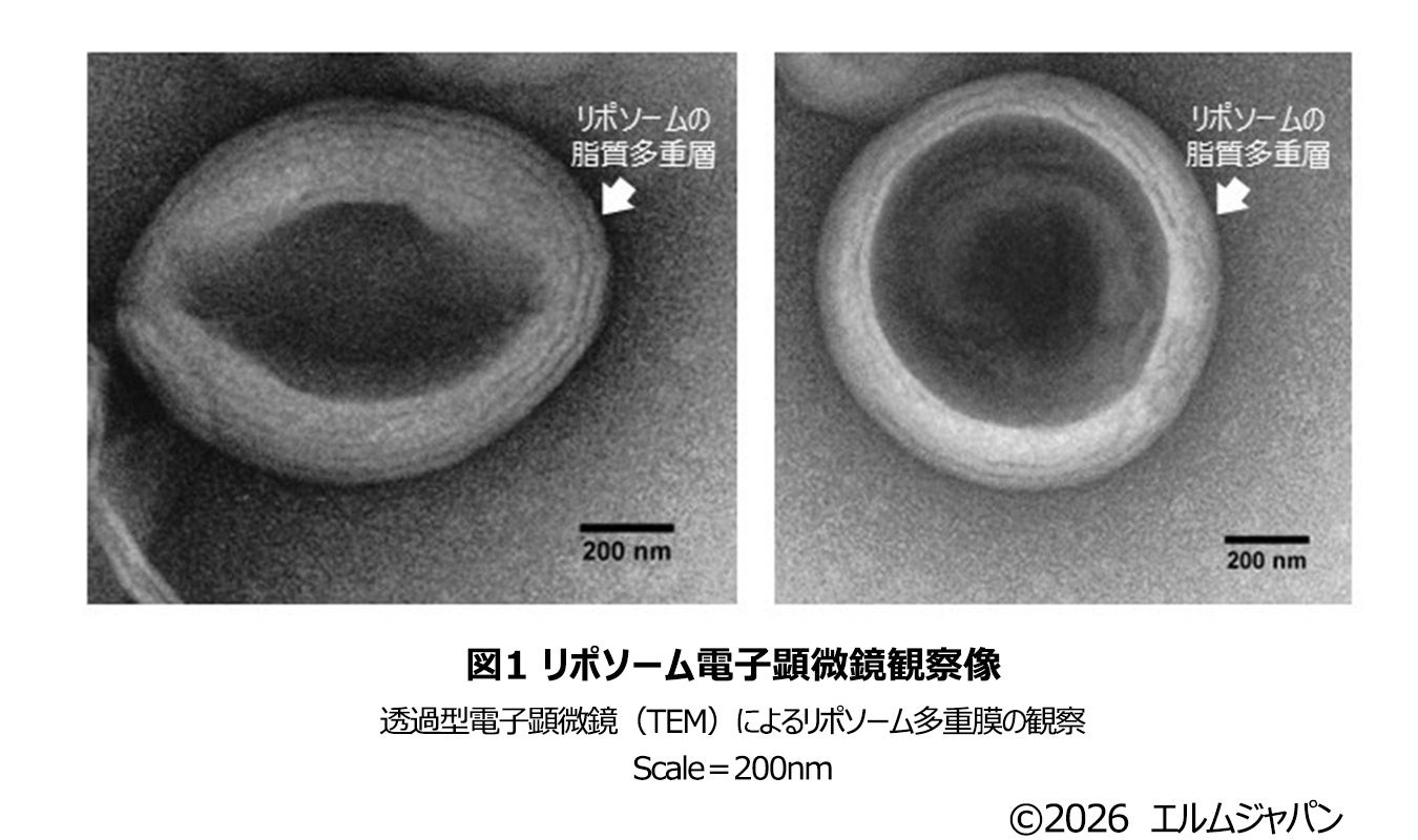 【Makuake3724％達成の大ヒット作、第2弾】着せたままシャンプーできる防水対応の「にゃんケアチョッキPRO」を先行発売！