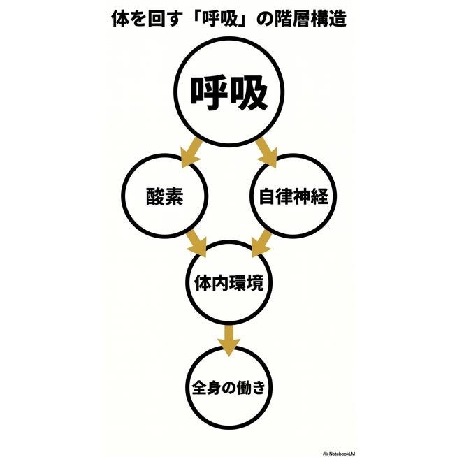 生命を動かす「エンジン」は呼吸。──睡眠中の体内環境に関する調査プロジェクトを開始