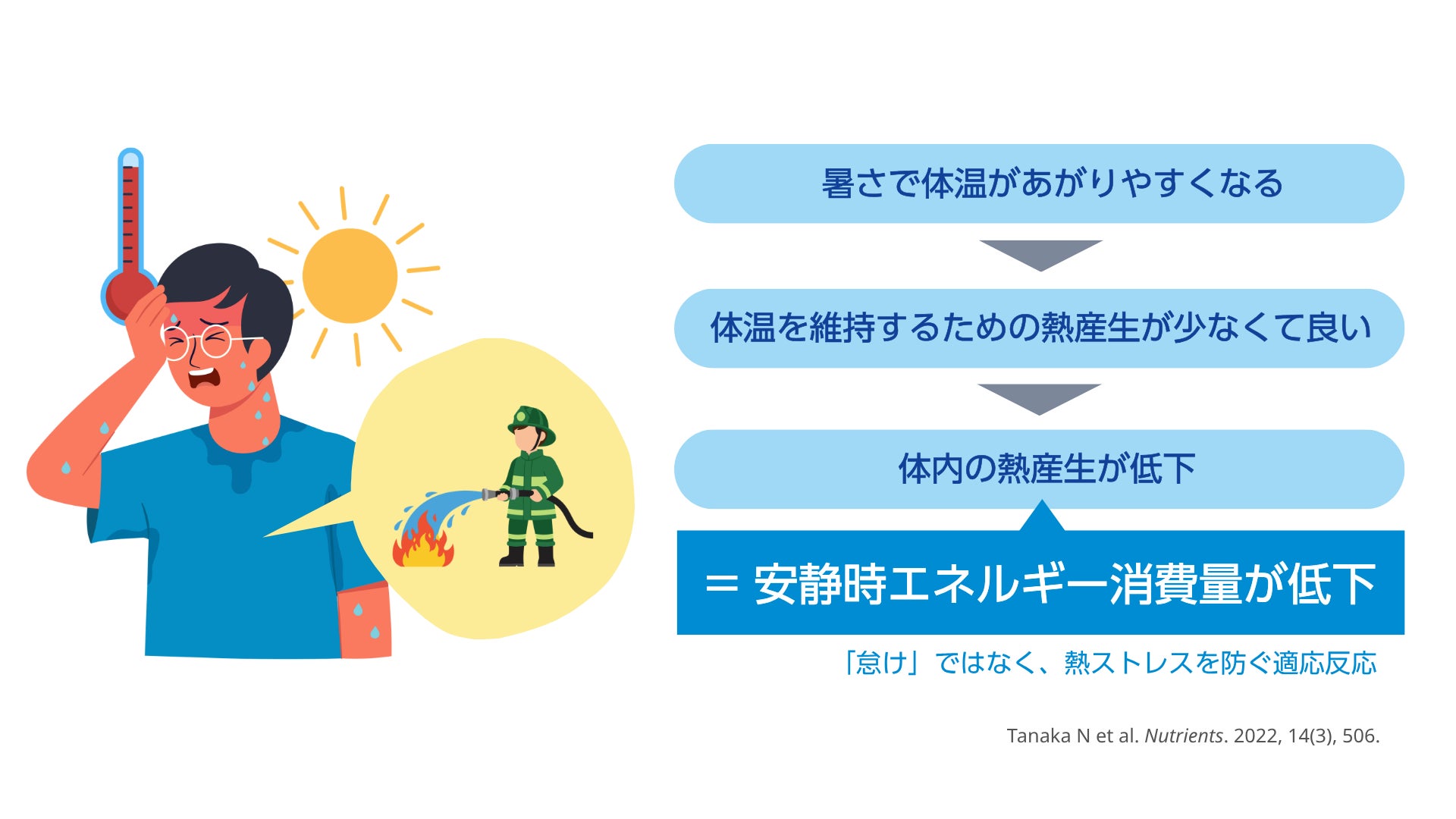 猛暑に潜む“カラダの省エネ化” 見落とされがちな「安静時エネルギー消費」が夏太りの分かれ目に