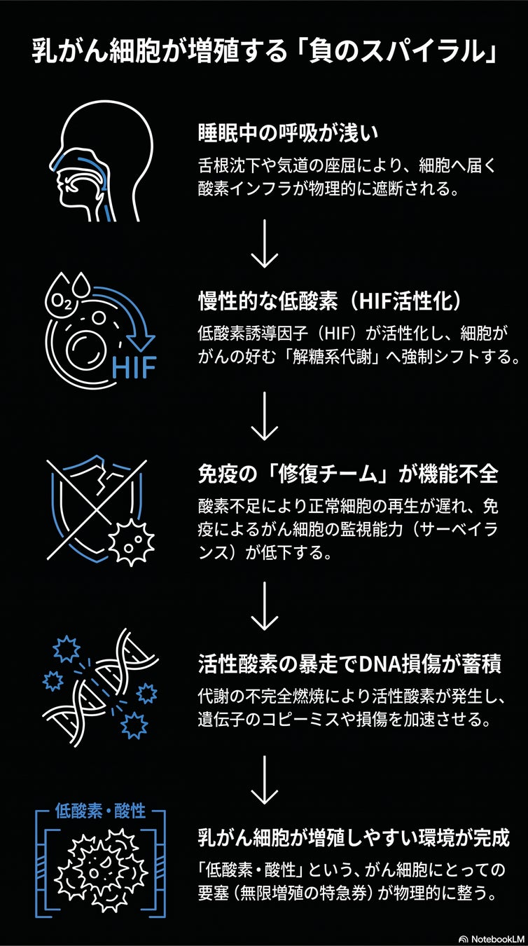 大人世代の女性に向けた新ブランド「Flovis」始動のお知らせ