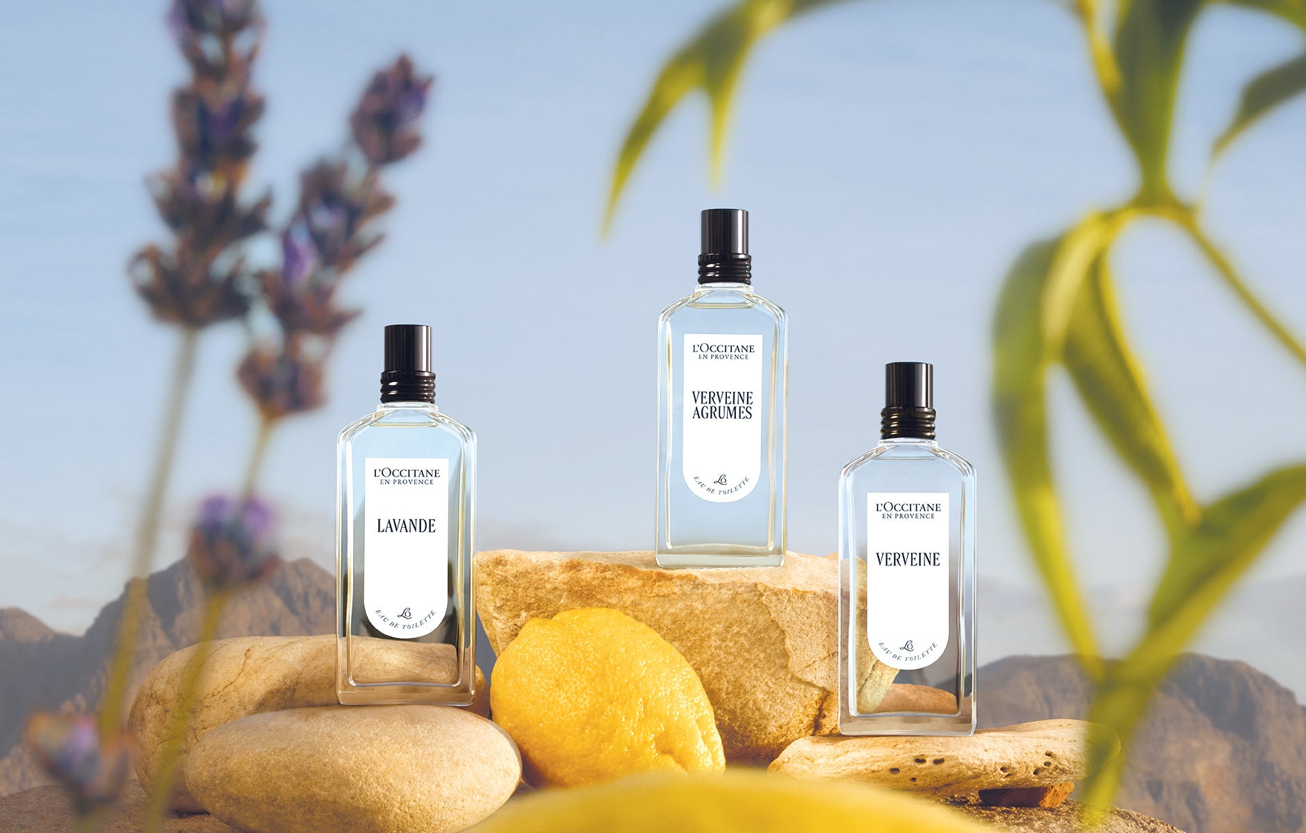 ロクシタン メゾン創設50周年記念「ART OF SCENT」より、気分を瞬時に切り替える3つのムードフレグランスが誕生　第一弾は、人気No.1＊フレグランスのヴァーベナが一新