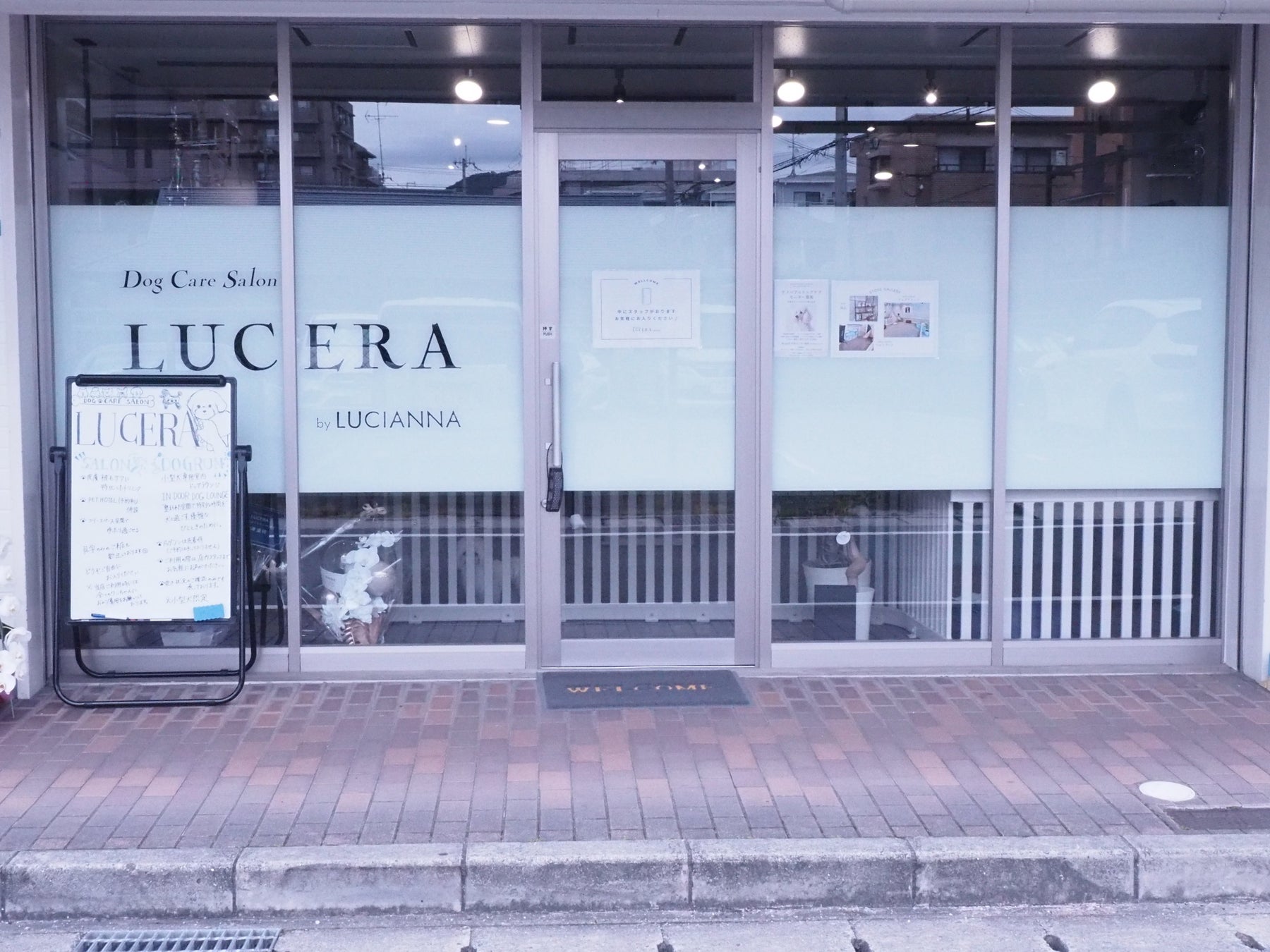【西宮市夙川に新店舗オープン】“水”からこだわる皮膚・被毛ケア特化型ドッグケアサロン