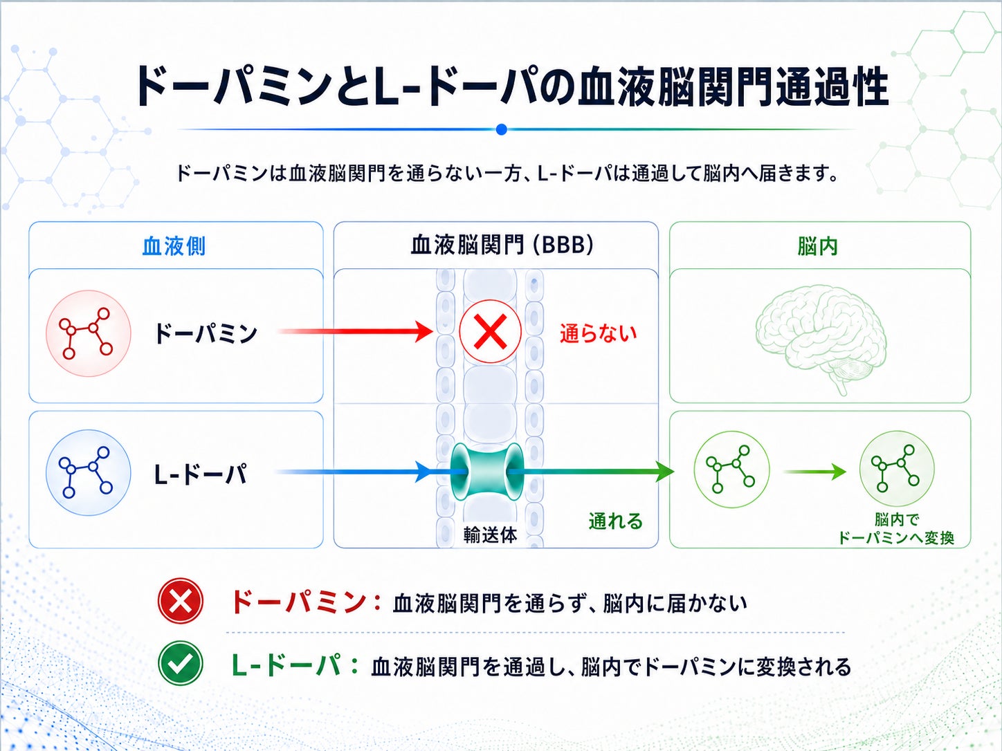 「日焼け止めは”紫外線から守るだけ”のもの？」