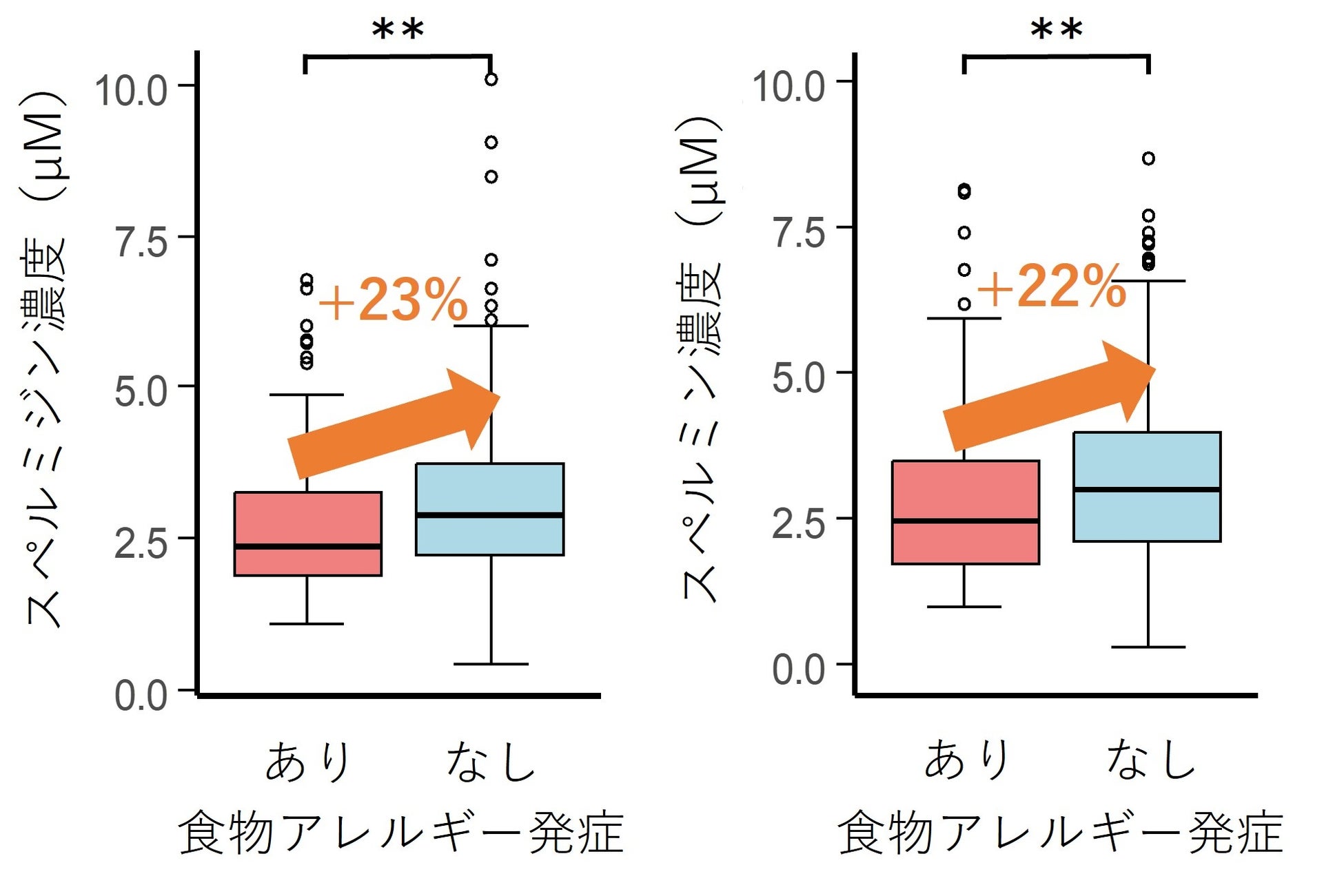 食物アレルギー発症リスク低下の新たな手がかり：母乳中ポリアミン