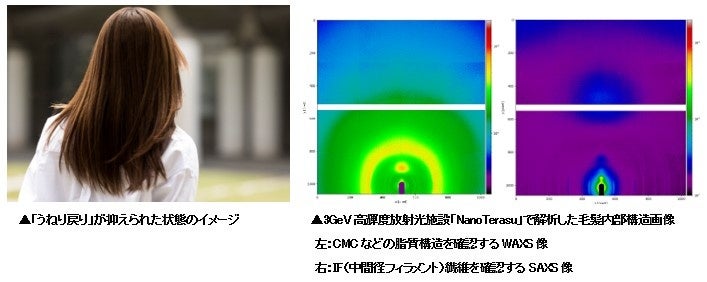 朝整えた髪が、日中またうねる。日光による毛髪内部CMCダメージに着目　ヒアルロン酸カリウムに「うねり戻り」抑制効果を確認