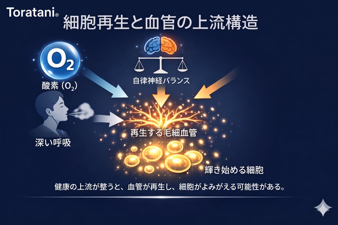 ヘアミルクをナノミスト化した新発想“ミルクミスト”誕生｜ストレートヘアケアブランドStraine「ストレートヘアミスト」2026年6月25日先行発売