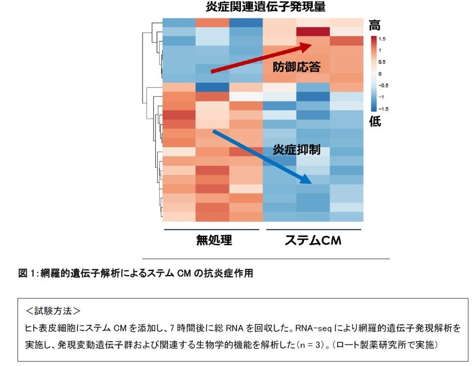 再生医療研究から生まれたペプチド化セクレトーム「ステムCM」が熱ストレスによる皮膚ダメージを多面的に抑制