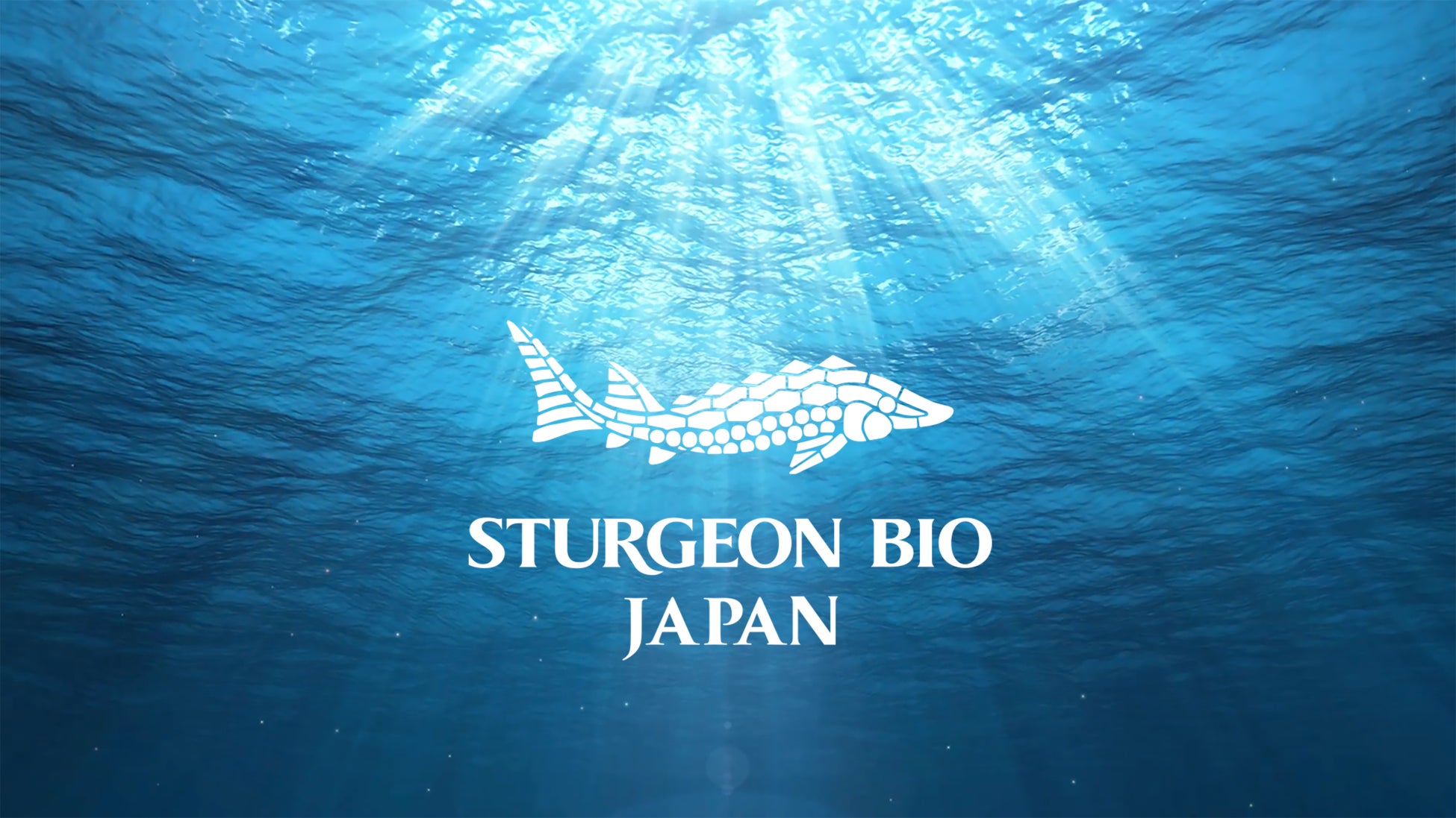 希少なチョウザメ由来オイルを“水溶化”韓国発ライフサイエンスブランド「STURGEON BIO」日本公式ECサイトを公開