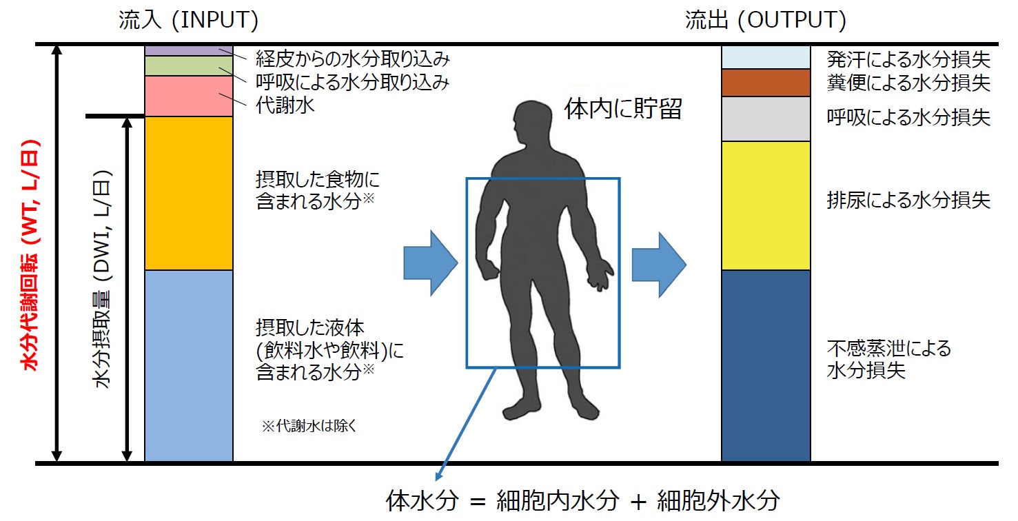 Craif、交付金を活用した公費導入によるマイシグナルの提供を開始