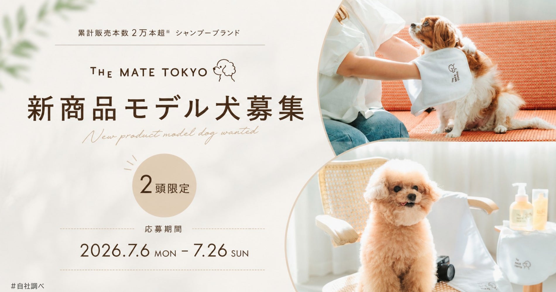 The Mate Tokyo、今秋発売予定の新商品に向け「モデル犬」2頭を募集