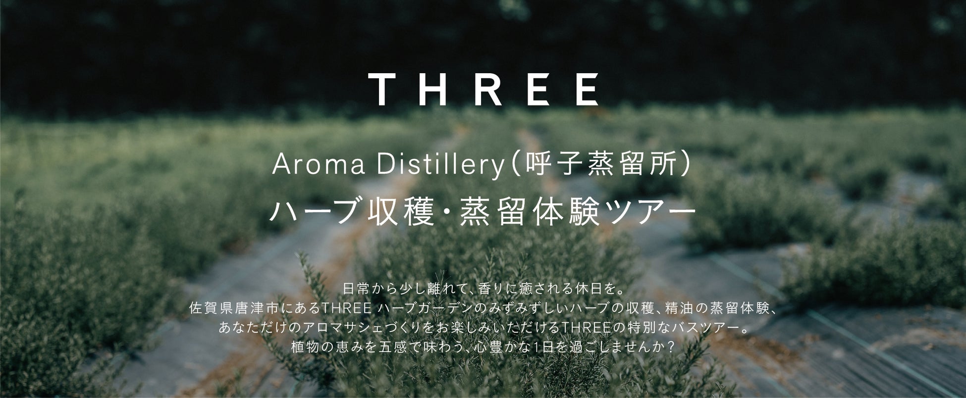 THREEのオリジナル精油創りの原点を五感で体感する「THREE Aroma Distillery（呼子蒸留所）ハーブ収穫・蒸留体験ツアー」開催