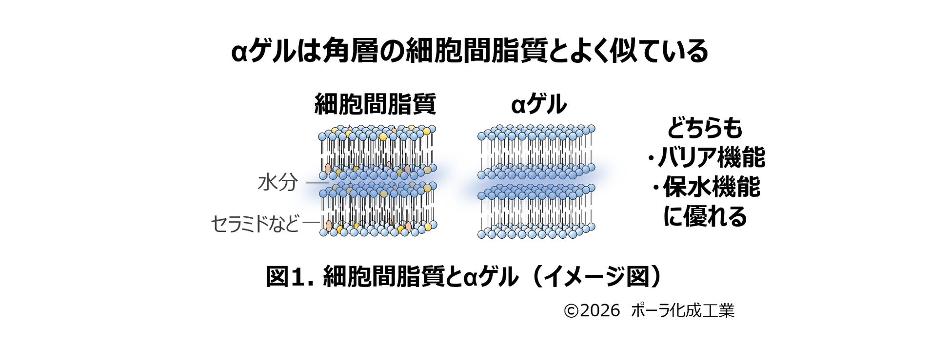 界面活性剤フリーでαゲルクリームを実現
