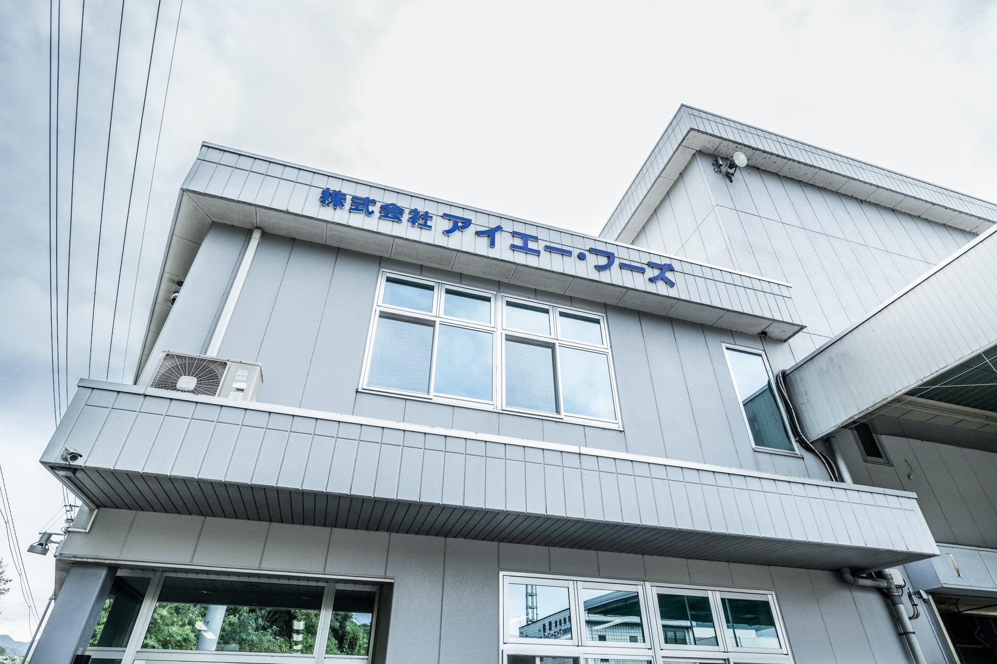 健康機能性代謝物HMPAを産生する新規乳酸菌代謝経路を解明