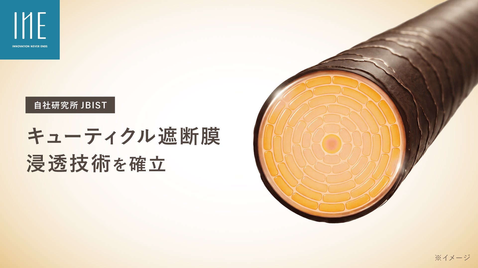 自社研究所 JBIST、イオン液体技術を用いた「キューティクル遮断膜浸透技術」を確立　毛髪内部の構造を一時的に緩め、毛髪深部へ成分を効率的に浸透・蓄積させることが可能に