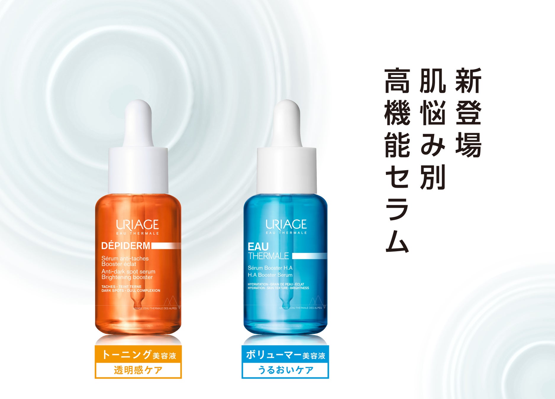 カミカリスマ受賞の坂狩トモタカ氏率いる人気ヘアサロン「SHEA」×「ハンクス カスカラティー」がコラボ！ “髪（外側）とインナーケア（内側）”を同時に叶える限定パッケージを発売