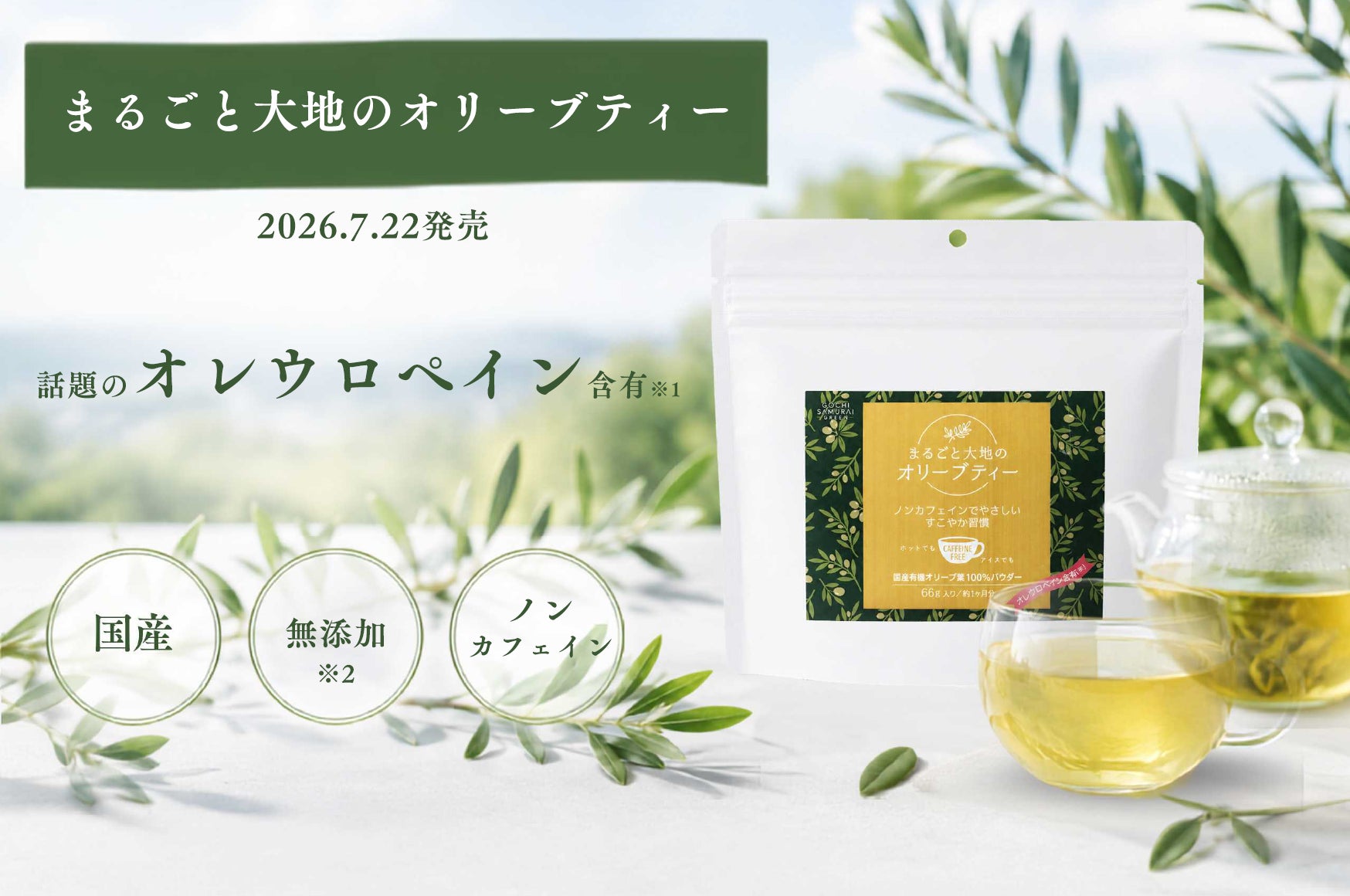 日本の製茶技術で「飲むオリーブ葉」を商品化 ～ 群馬県産有機オリーブに新たな価値 ～