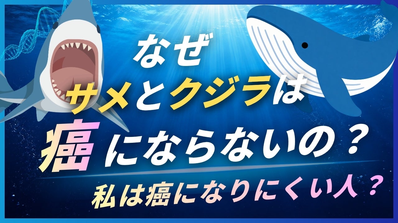 サメとクジラは、なぜ「がん」に強いのか ─ 巨大生物が教えてくれる、がんと遺伝子の関係