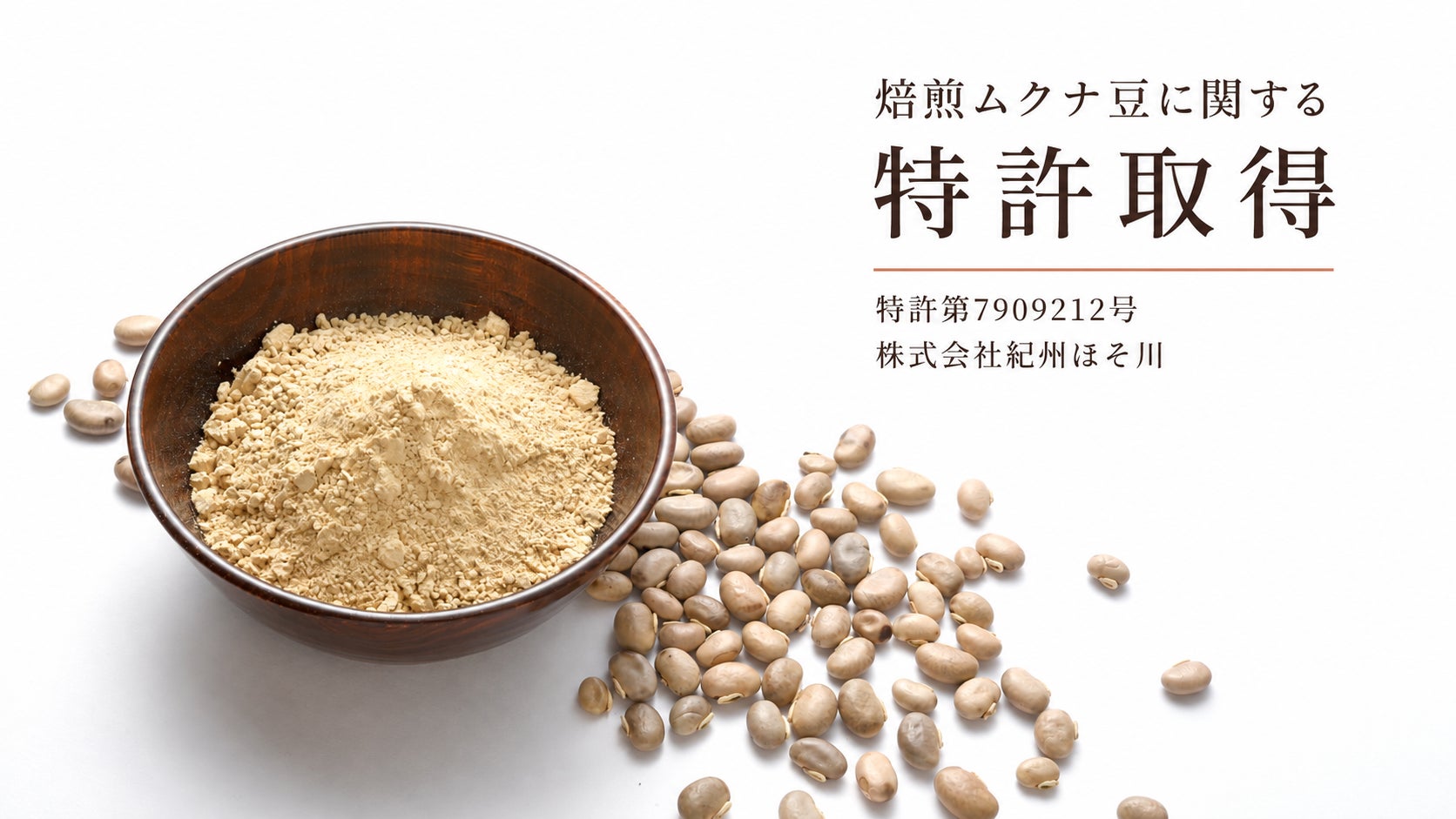 焙煎ムクナ豆を有効成分とするαシヌクレイン凝集阻害剤で特許取得