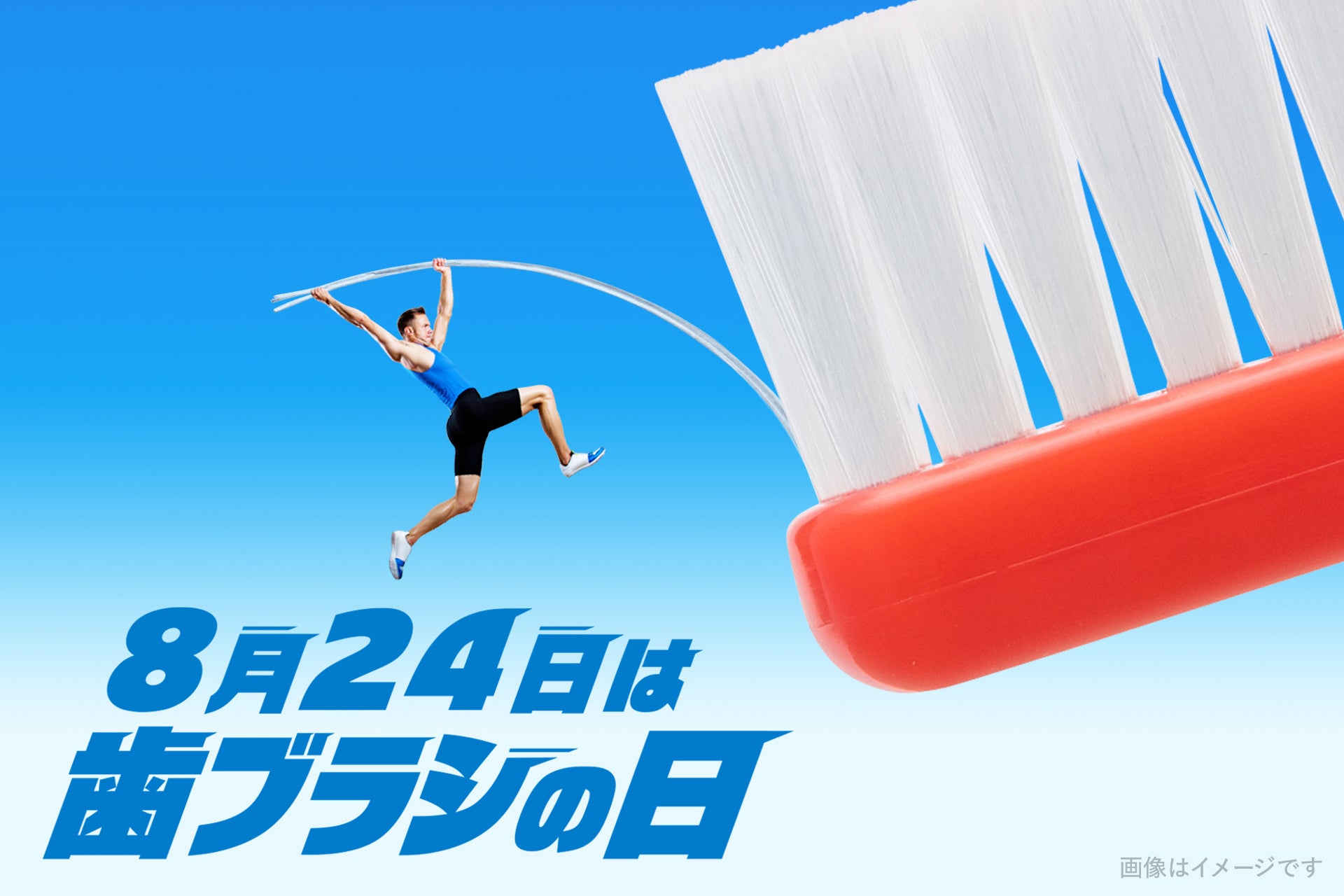 歯科専用の歯ブラシ『タフト24』、汚れが落としやすい理由は〇〇！？