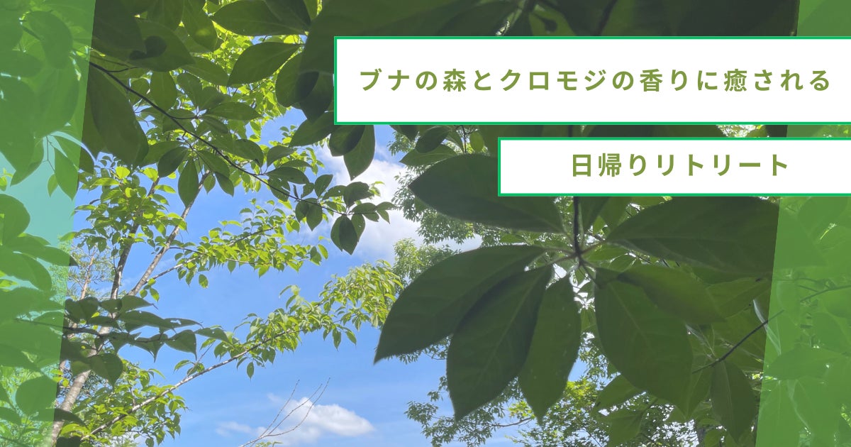 【山形・小国町】ブナの森とクロモジの香りに癒される日帰りリトリートを開催