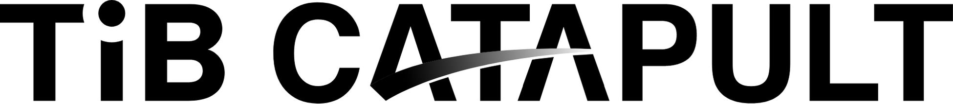 アイスタイル、東京都「TIB CATAPULT」において美容・ウエルネス産業のクラスター代表事業者として採択