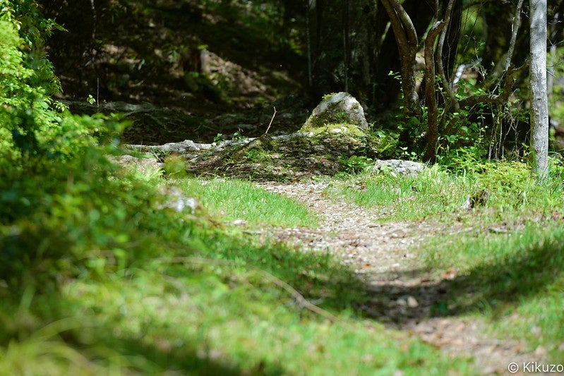 【ダモンデトレイルが愛知県県有林事務所と愛知県民の森にて森林整備（登山道保全）活動に向けた協定を締結しました】