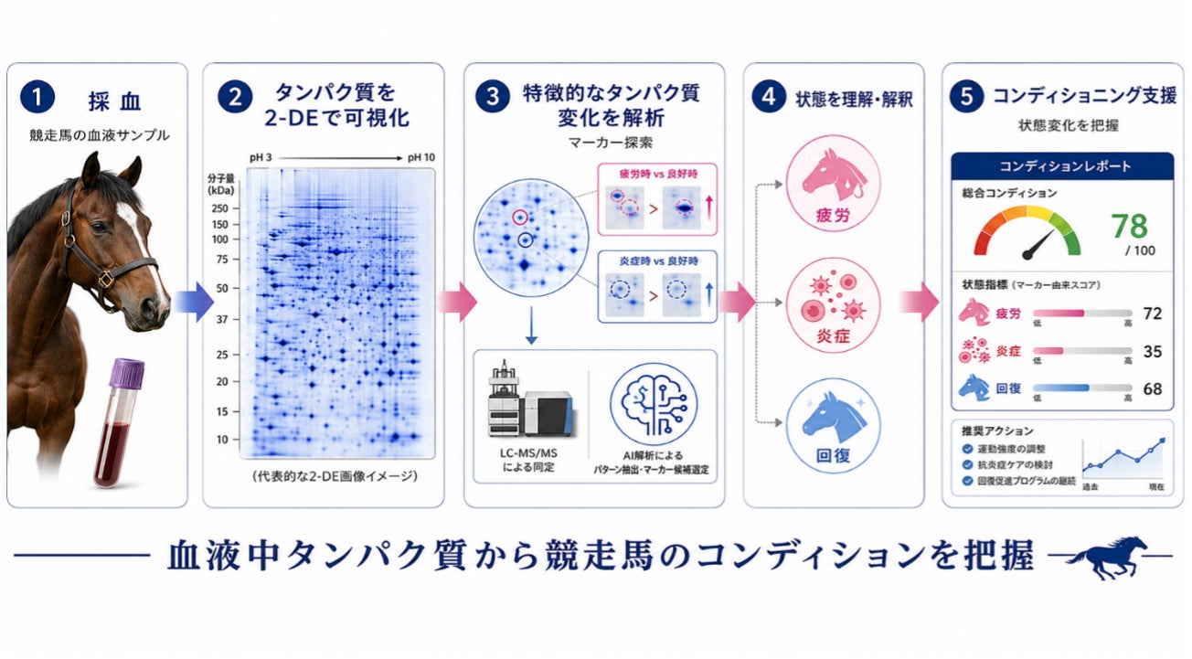 aiwell、タンパク質で競走馬のコンディショニングを可視化する支援サービス来春の実用化に向け厩舎・牧場で最終検証へ
