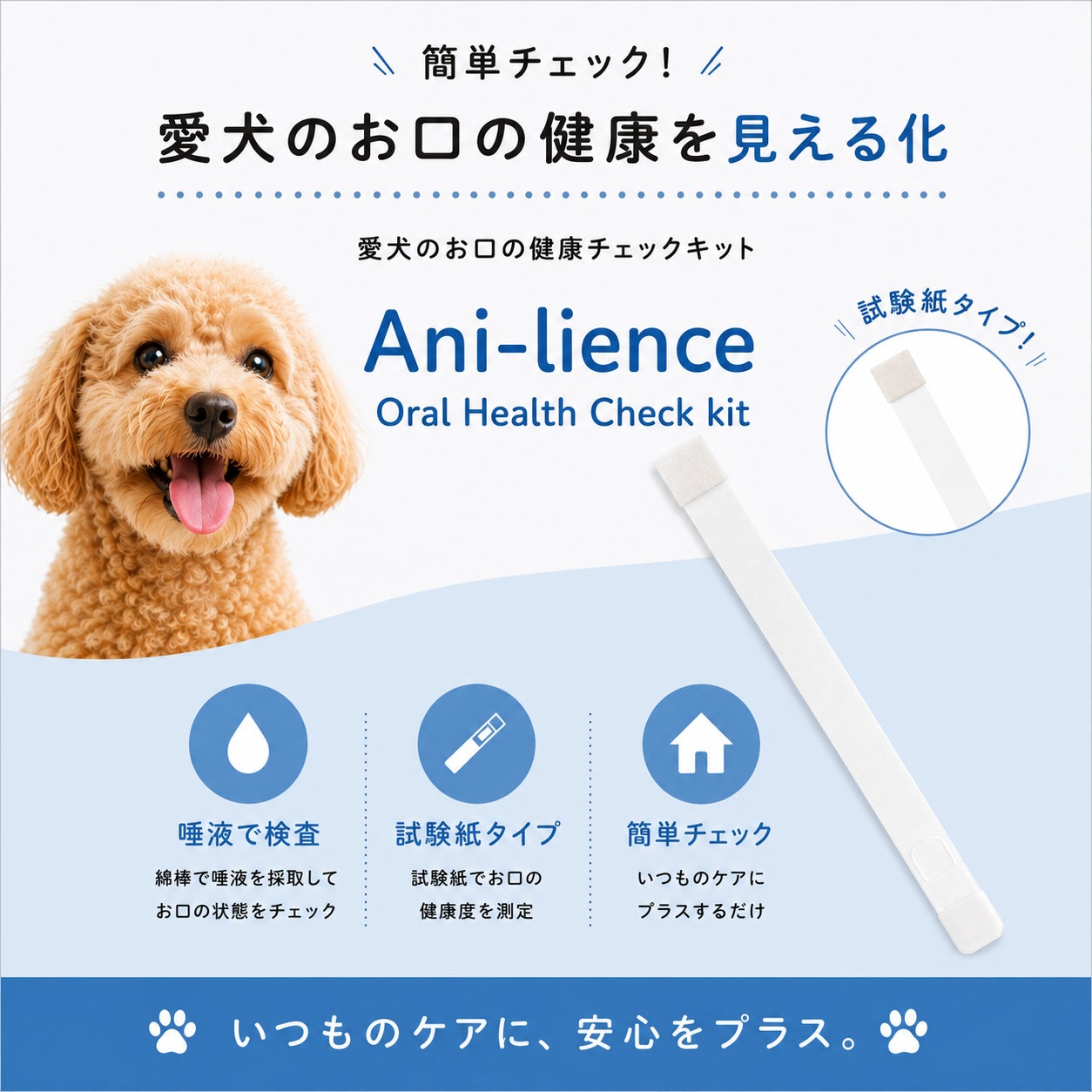 お口の健康チェック結果を、ホームケア提案・予防啓発につなげる「Ani-lience®愛犬のお口の健康チェックキット」法人提供を開始