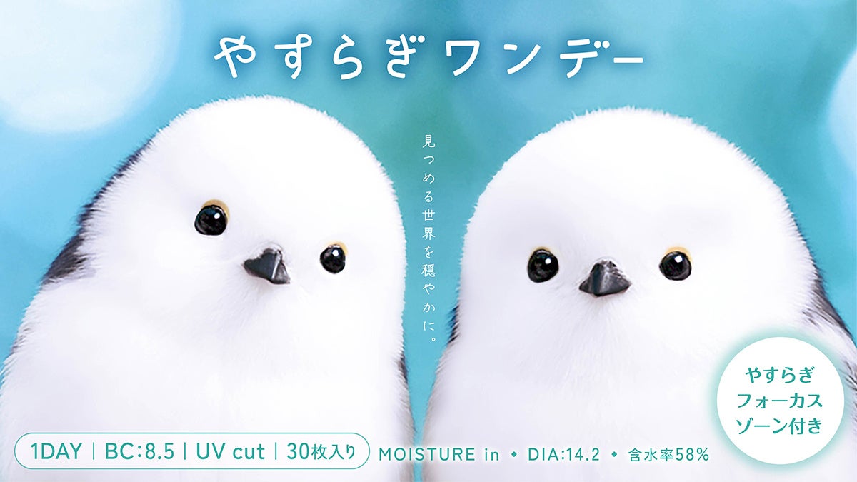 シマエナガが瞳にやすらぎをお届け。ピントアシスト付きコンタクトレンズ『やすらぎワンデー』新発売